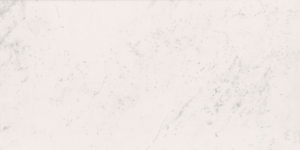 Bianco Pighes – gres szkliwiony RET 30x60cm